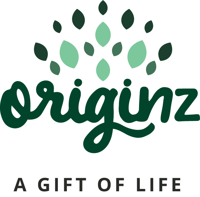 Originz logo