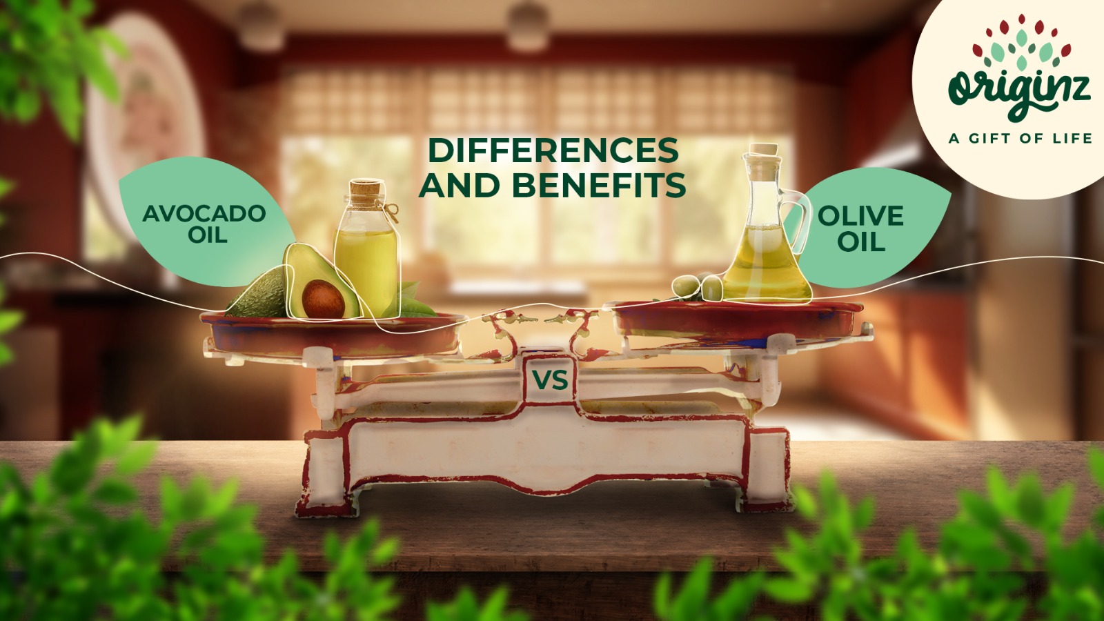 Avocado Vs. Olive Oil: Differences Between Avocado and Olive Oil