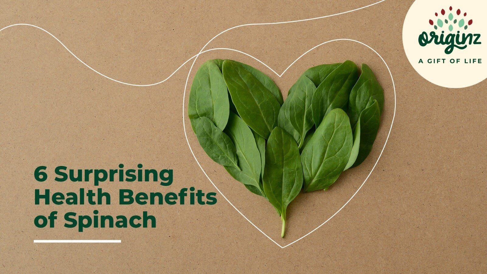 6 Health Benefits of Spinach