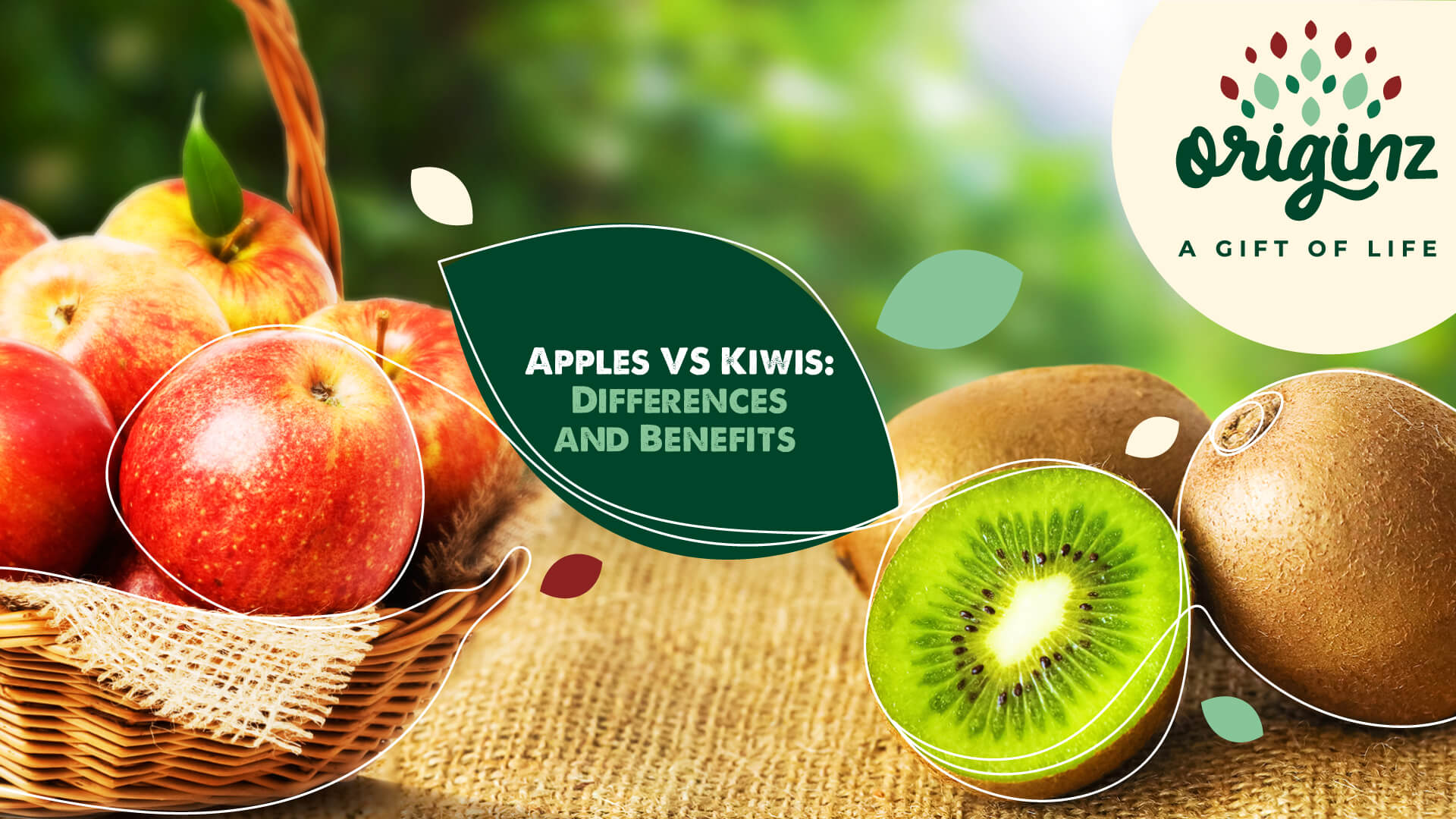 Kiwi benefits: 10 remarkable health reasons to consume Kiwi fruit