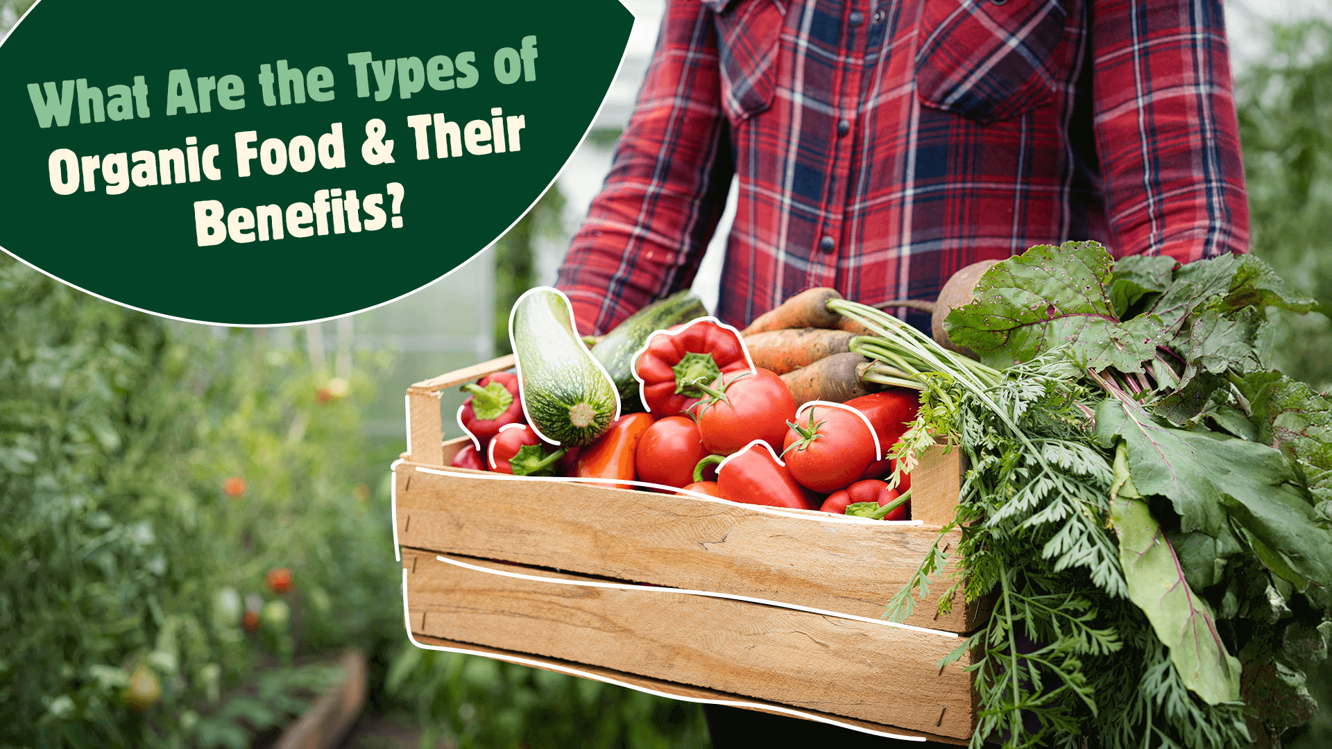 What Are the Types of Organic Food and Their Benefits?